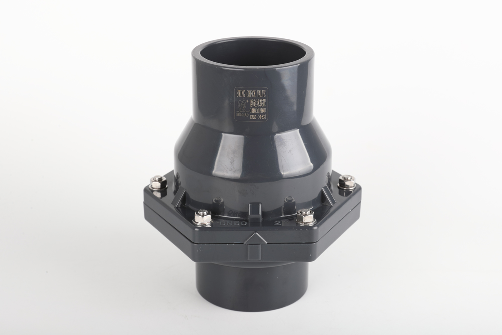 天长翻板式止回阀