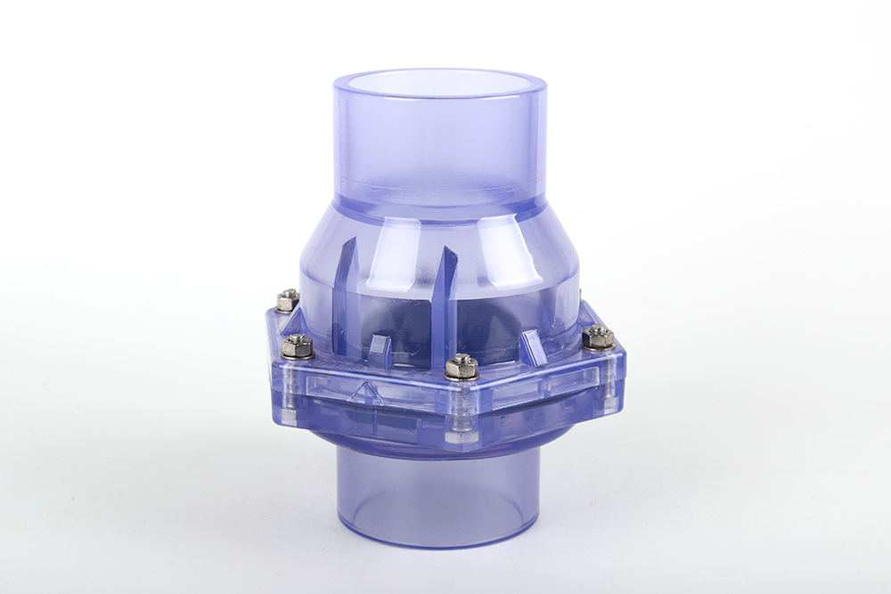 天长透明翻板式止回阀